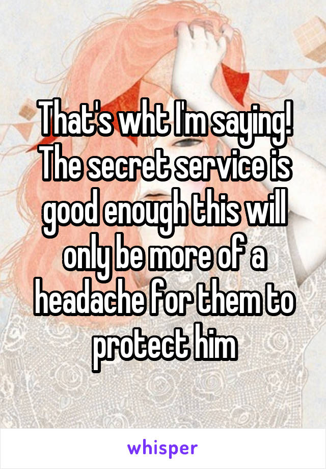 That's wht I'm saying! The secret service is good enough this will only be more of a headache for them to protect him