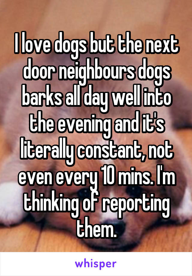 I love dogs but the next door neighbours dogs barks all day well into the evening and it's literally constant, not even every 10 mins. I'm thinking of reporting them.