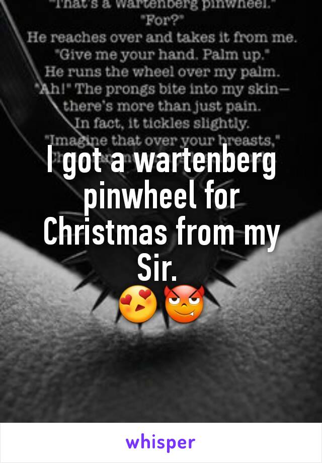 I got a wartenberg pinwheel for Christmas from my Sir. 
😍😈