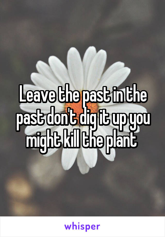 Leave the past in the past don't dig it up you might kill the plant 