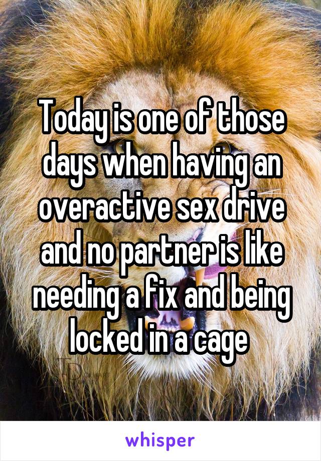 Today is one of those days when having an overactive sex drive and no partner is like needing a fix and being locked in a cage 