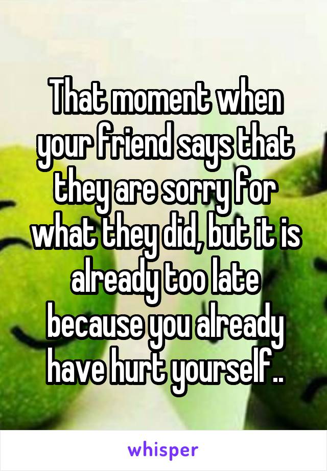 That moment when your friend says that they are sorry for what they did, but it is already too late because you already have hurt yourself..