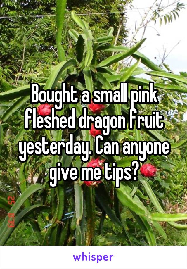 Bought a small pink fleshed dragon fruit yesterday. Can anyone give me tips?