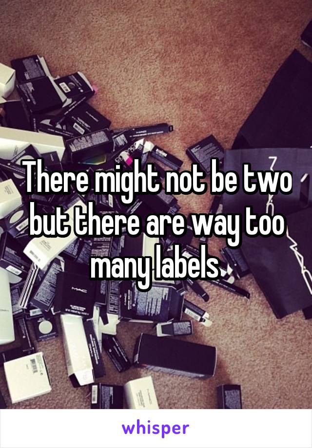 There might not be two but there are way too many labels 