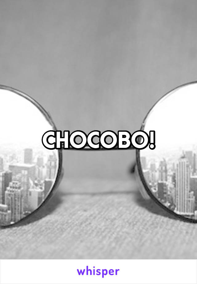 CHOCOBO!
