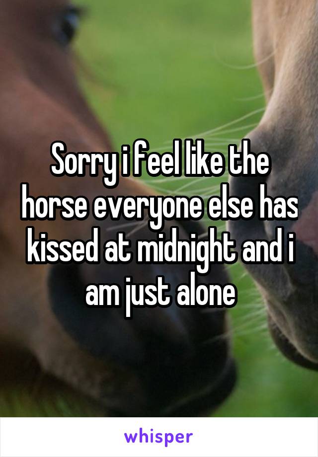 Sorry i feel like the horse everyone else has kissed at midnight and i am just alone
