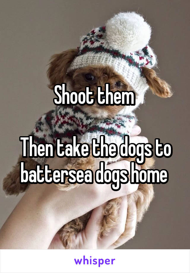 Shoot them 

Then take the dogs to battersea dogs home 