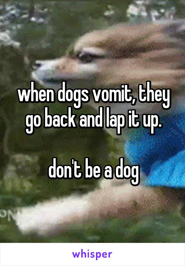 when dogs vomit, they go back and lap it up.

don't be a dog