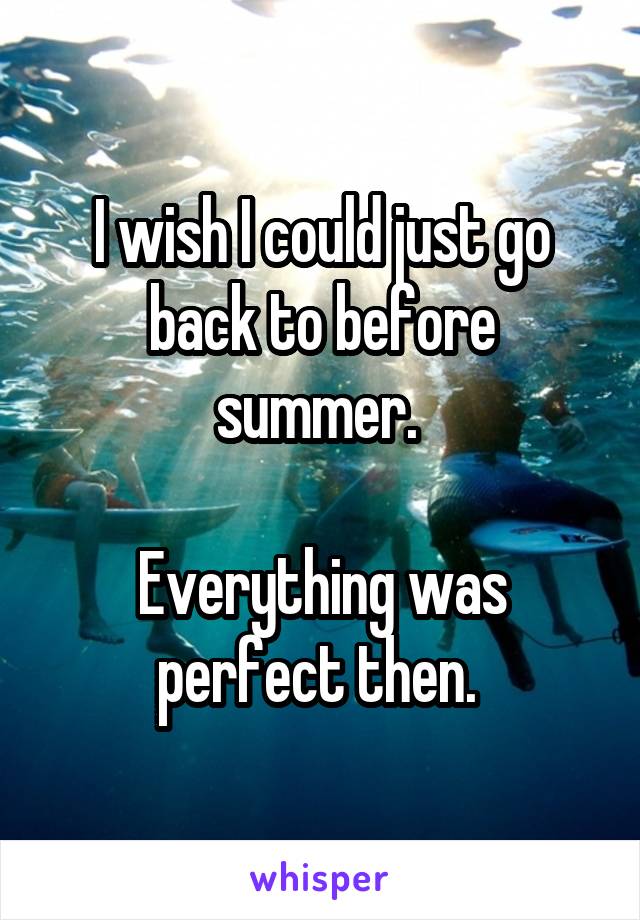 I wish I could just go back to before summer. 

Everything was perfect then. 