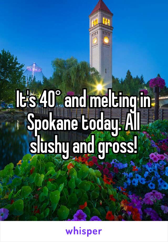 It's 40° and melting in Spokane today. All slushy and gross!