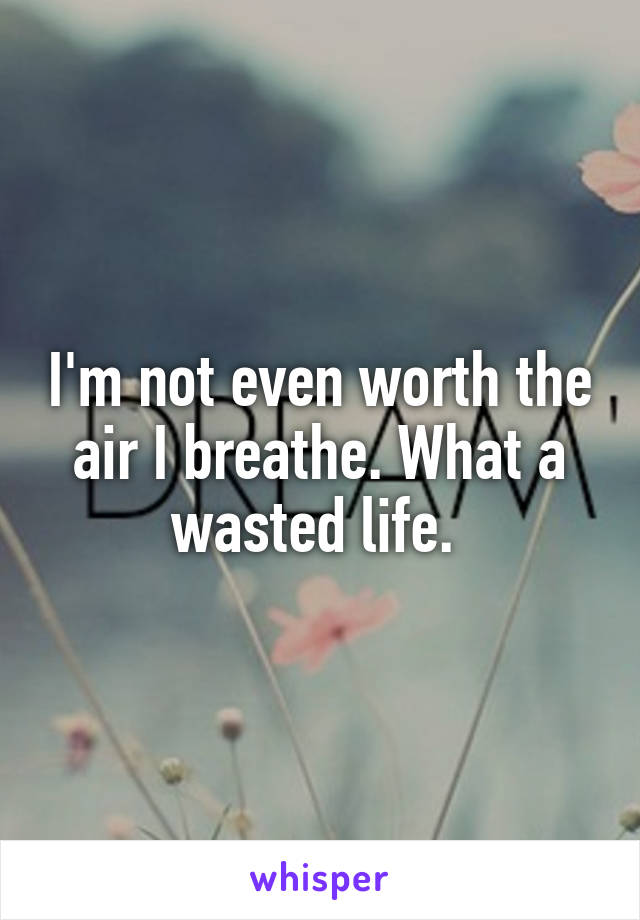 I'm not even worth the air I breathe. What a wasted life. 