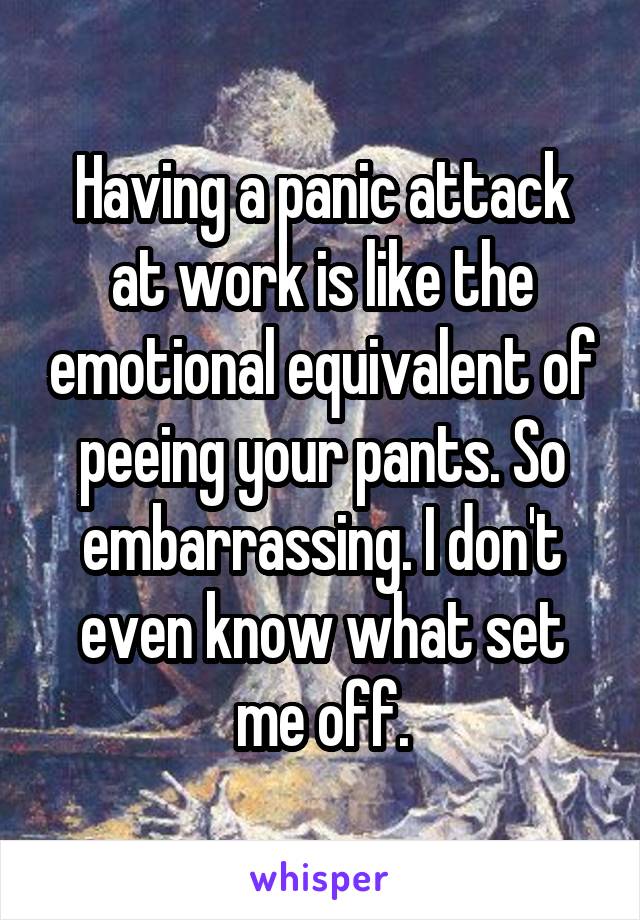 Having a panic attack at work is like the emotional equivalent of peeing your pants. So embarrassing. I don't even know what set me off.