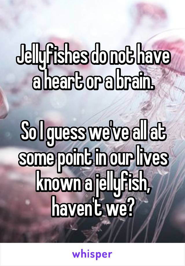 Jellyfishes do not have a heart or a brain.

So I guess we've all at some point in our lives known a jellyfish, haven't we?