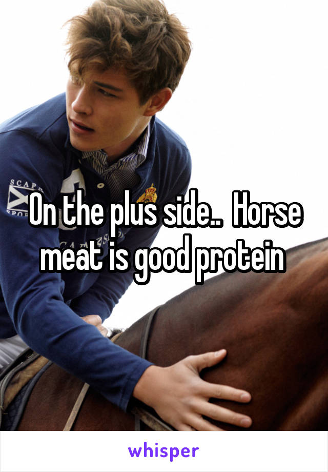 On the plus side..  Horse meat is good protein 