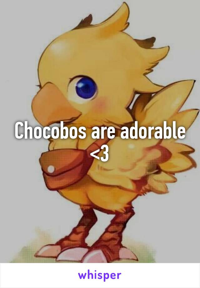 Chocobos are adorable <3