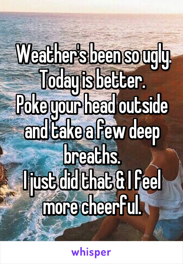  Weather's been so ugly. Today is better.
Poke your head outside and take a few deep breaths.
I just did that & I feel more cheerful.