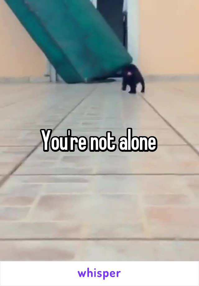 You're not alone 