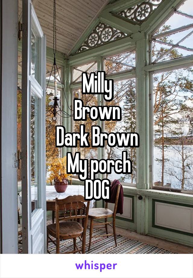 Milly
Brown
Dark Brown
 My porch
DOG