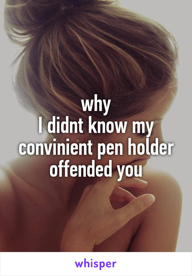 why
I didnt know my convinient pen holder offended you