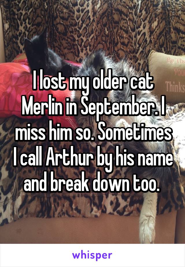 I lost my older cat Merlin in September. I miss him so. Sometimes I call Arthur by his name and break down too. 