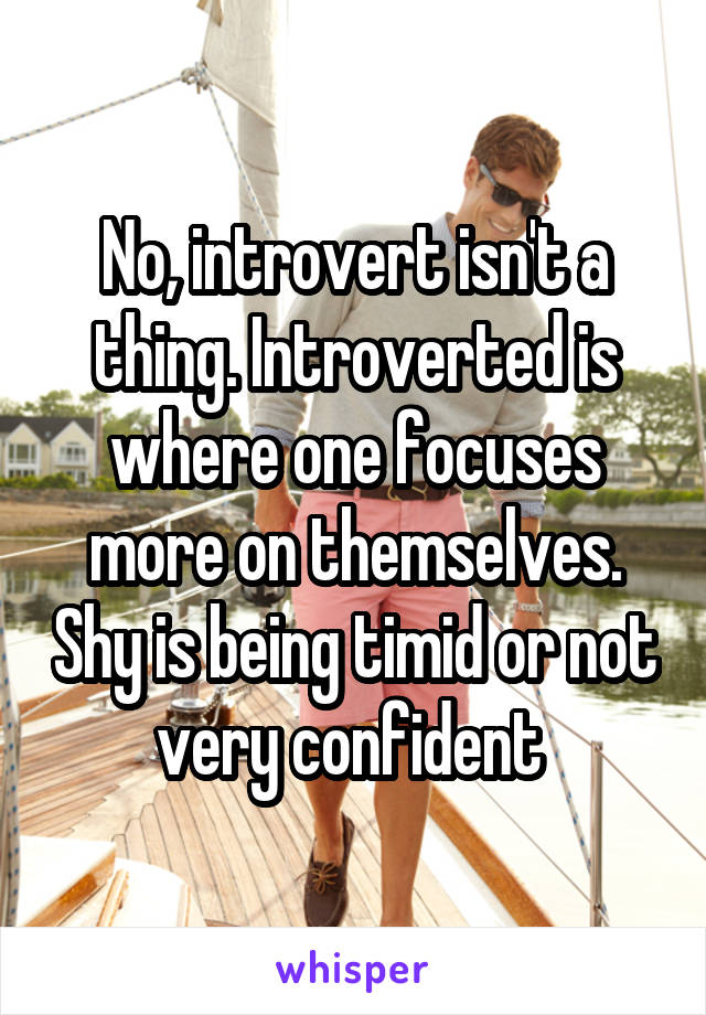 No, introvert isn't a thing. Introverted is where one focuses more on themselves. Shy is being timid or not very confident 