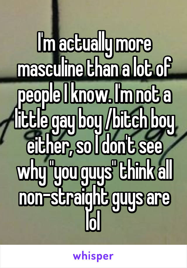 I'm actually more masculine than a lot of people I know. I'm not a little gay boy /bitch boy either, so I don't see why "you guys" think all non-straight guys are lol 