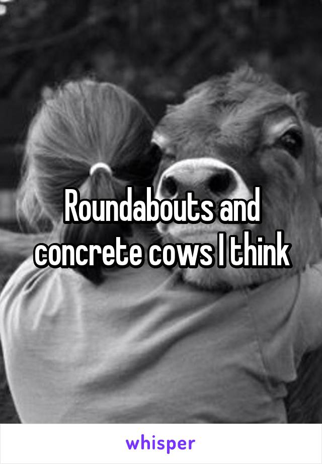 Roundabouts and concrete cows I think