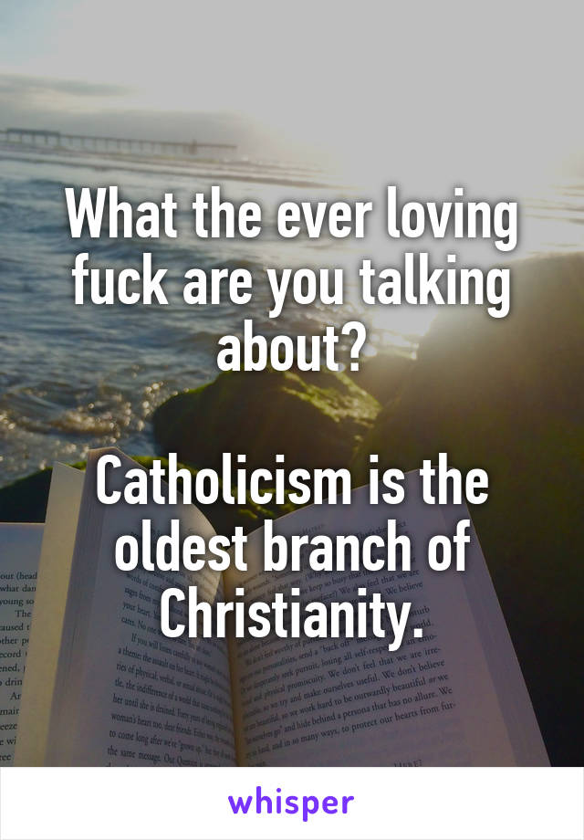 What the ever loving fuck are you talking about?

Catholicism is the oldest branch of Christianity.