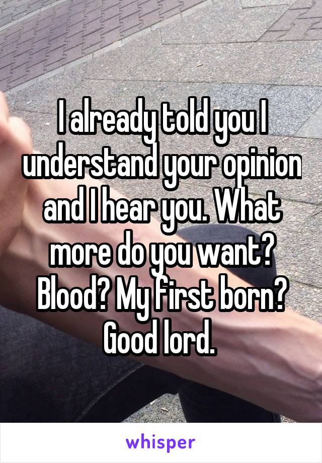 I already told you I understand your opinion and I hear you. What more do you want? Blood? My first born? Good lord. 