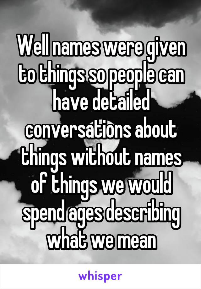 Well names were given to things so people can have detailed conversations about things without names of things we would spend ages describing what we mean