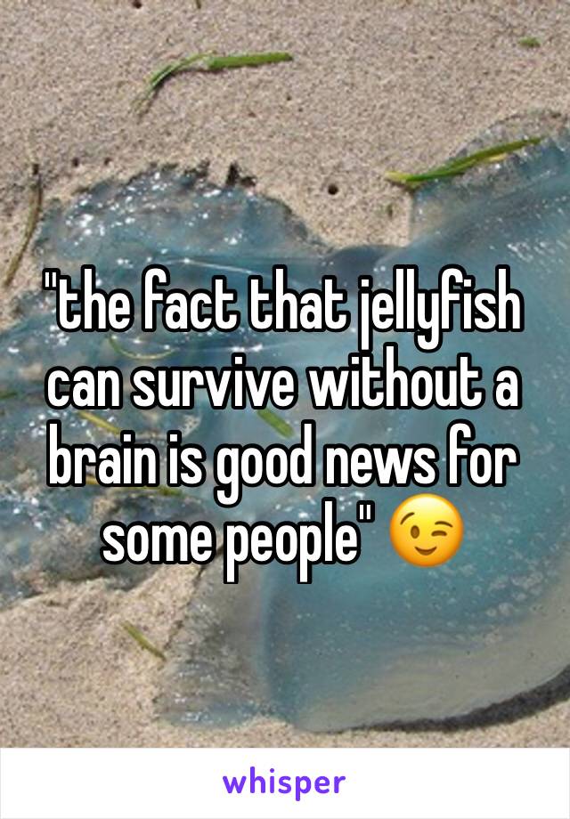 "the fact that jellyfish can survive without a brain is good news for some people" 😉