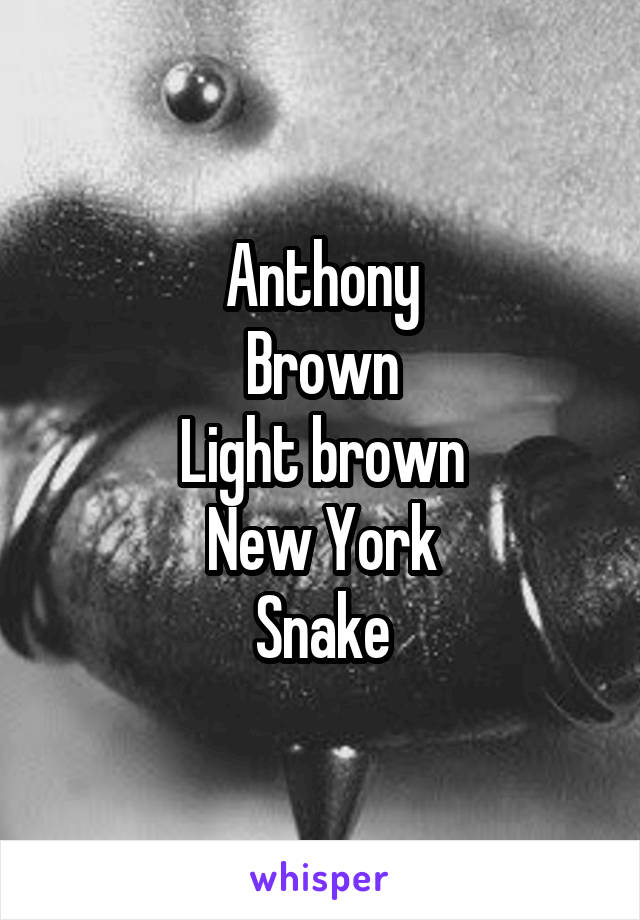 Anthony
Brown
Light brown
New York
Snake