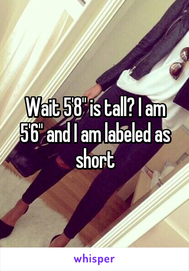 Wait 5'8" is tall? I am 5'6" and I am labeled as short