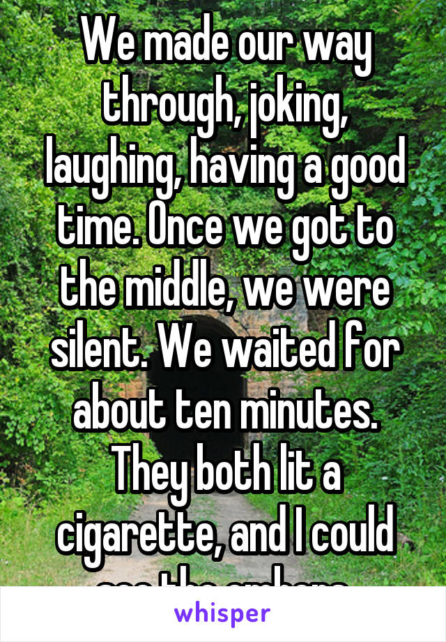 We made our way through, joking, laughing, having a good time. Once we got to the middle, we were silent. We waited for about ten minutes. They both lit a cigarette, and I could see the embers.