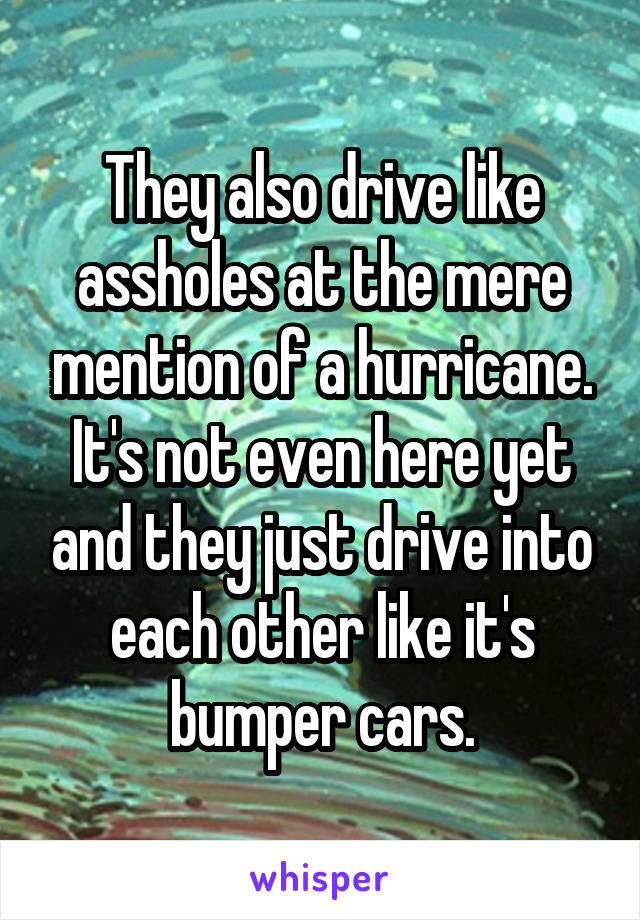 They also drive like assholes at the mere mention of a hurricane. It's not even here yet and they just drive into each other like it's bumper cars.