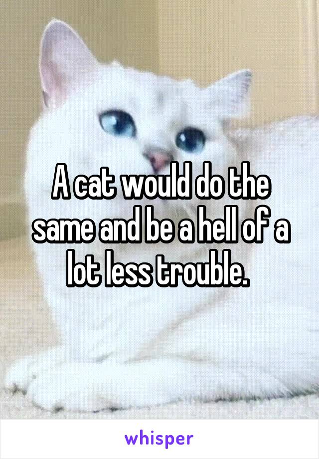 A cat would do the same and be a hell of a lot less trouble. 