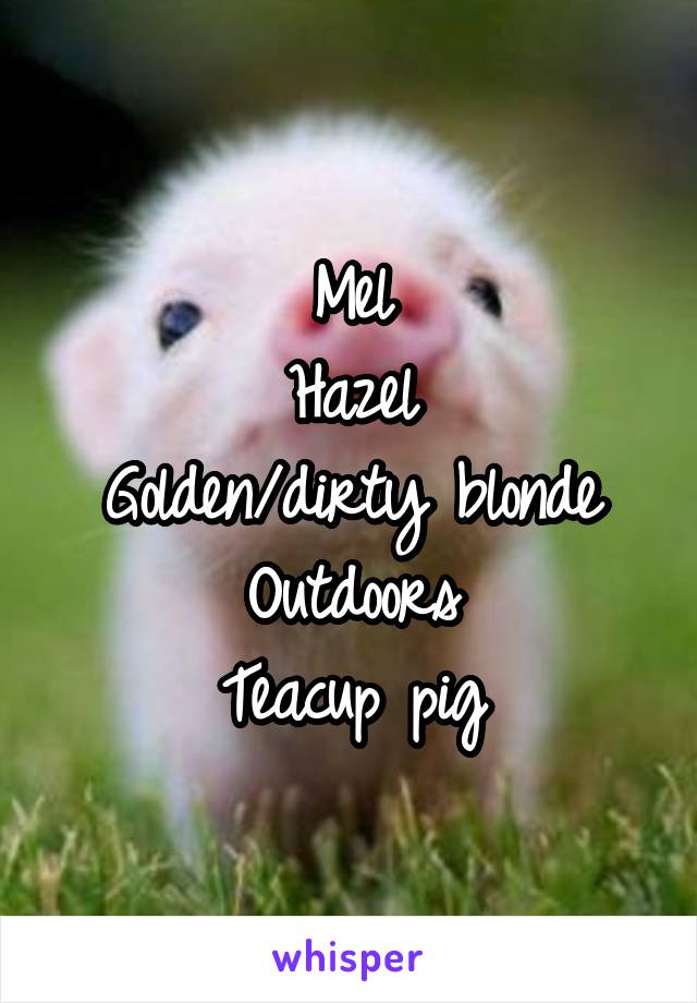 Mel
Hazel
Golden/dirty blonde
Outdoors
Teacup pig