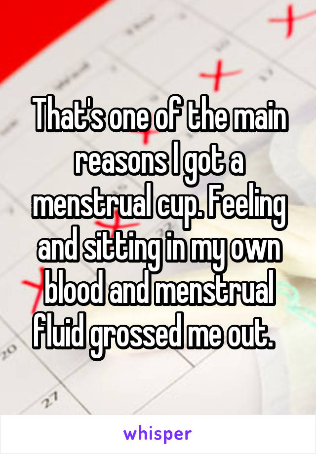 That's one of the main reasons I got a menstrual cup. Feeling and sitting in my own blood and menstrual fluid grossed me out.  