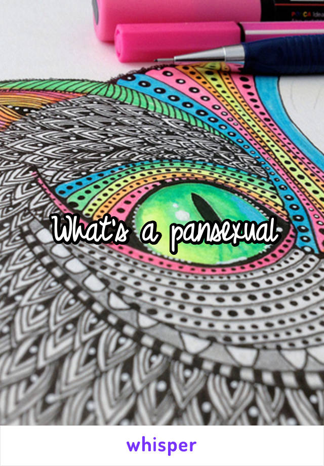 What's a pansexual