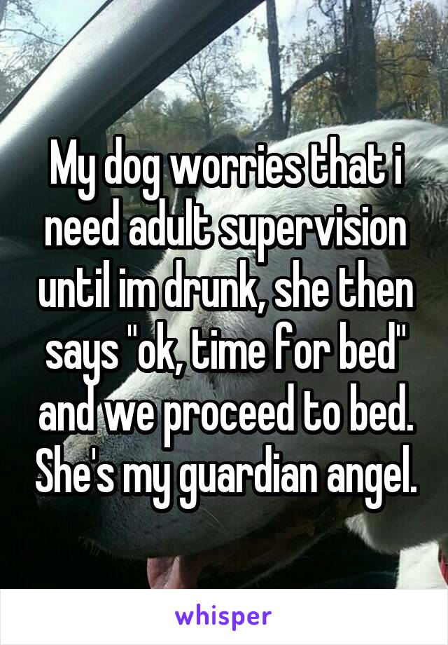 My dog worries that i need adult supervision until im drunk, she then says "ok, time for bed" and we proceed to bed. She's my guardian angel.