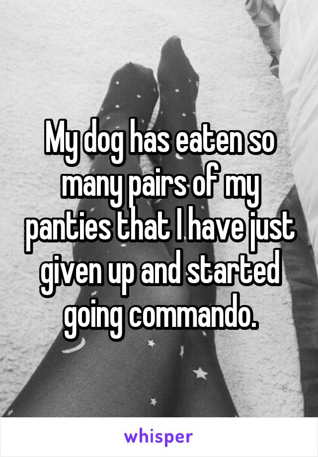My dog has eaten so many pairs of my panties that I have just given up and started going commando.