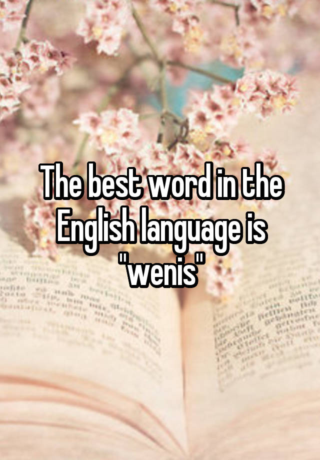 the-best-word-in-the-english-language-is-wenis