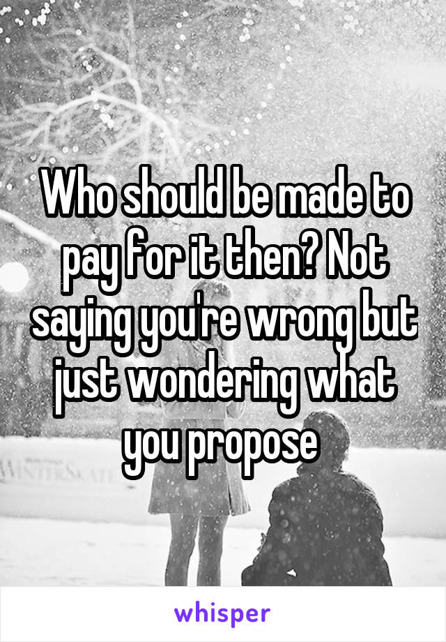 Who should be made to pay for it then? Not saying you're wrong but just wondering what you propose 