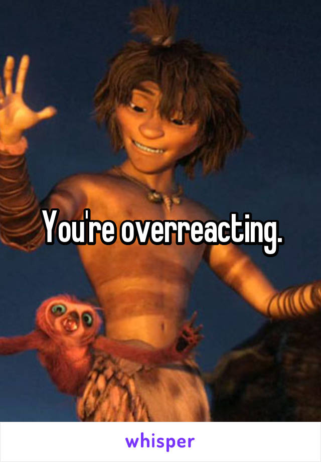 You're overreacting.