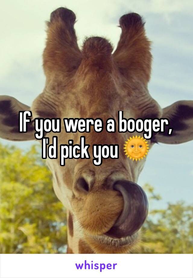 If you were a booger, 
I'd pick you 🌞