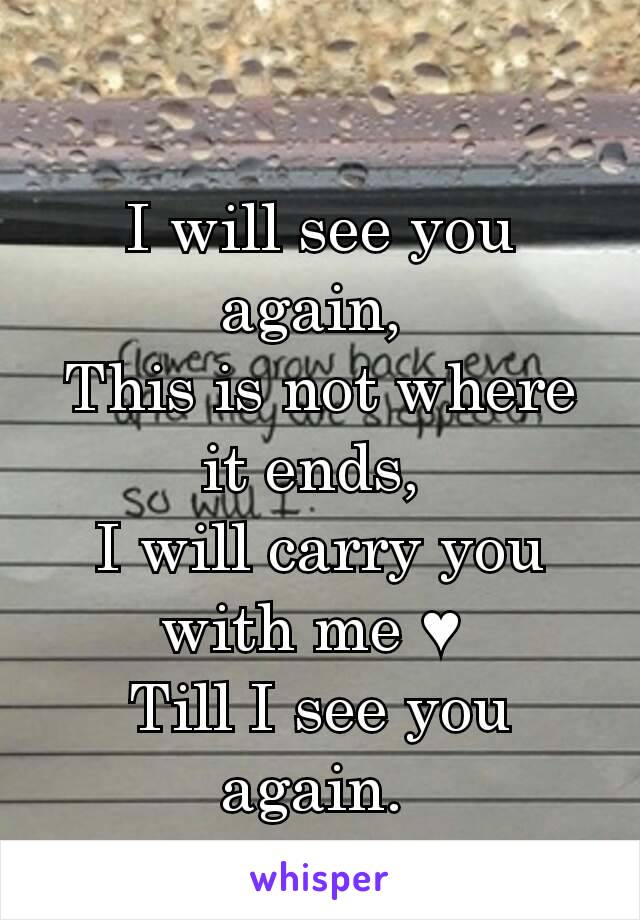 I will see you again, 
This is not where it ends, 
I will carry you with me ♥ 
Till I see you again. 