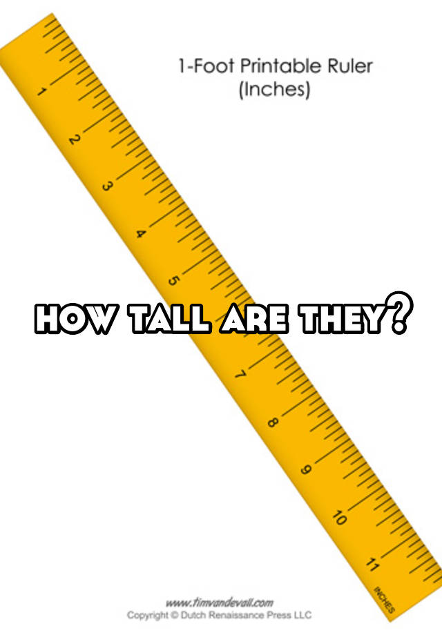 how-tall-are-they