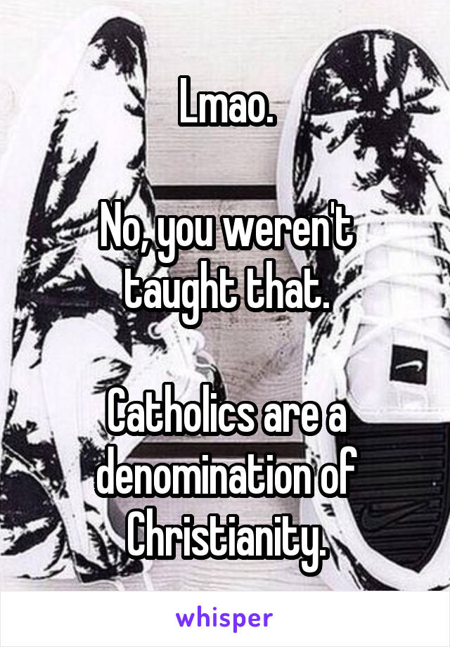 Lmao.

No, you weren't taught that.

Catholics are a denomination of Christianity.
