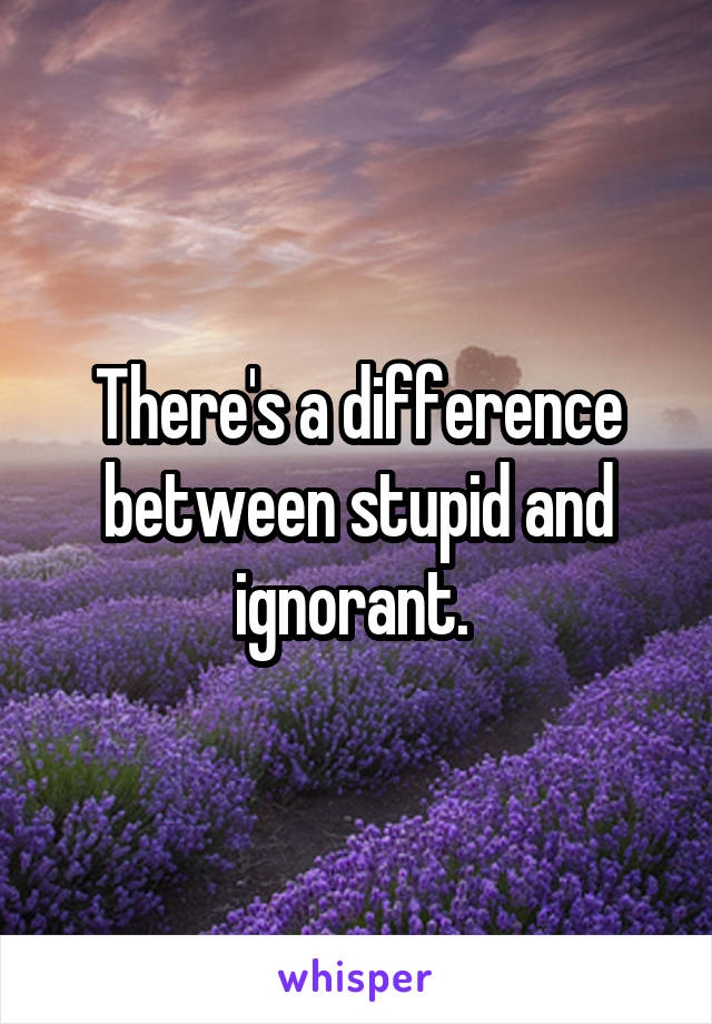 there-s-a-difference-between-stupid-and-ignorant