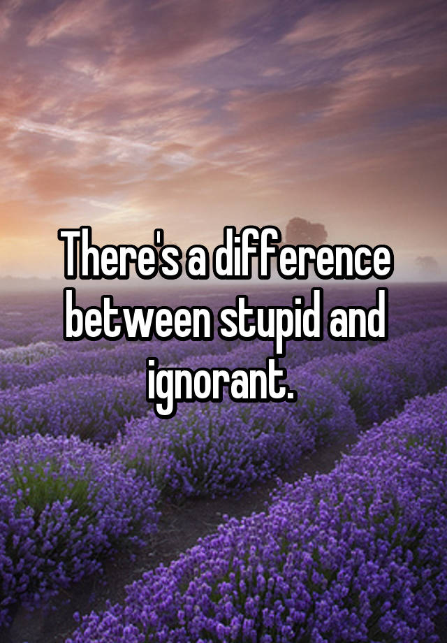 there-s-a-difference-between-stupid-and-ignorant